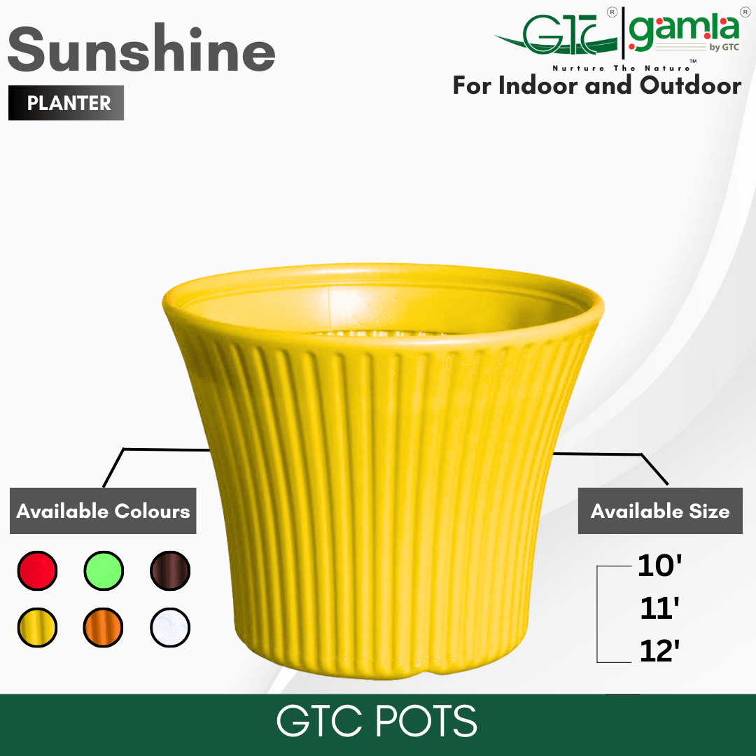 Sunshine Planter Suitable for Home, Gardens, Hotels and Resorts - GTC POTS