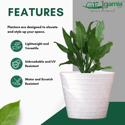 Konic Planter Roto Moulding Suitable for Home, Gardens, Hotels and Resorts - GTC POTS