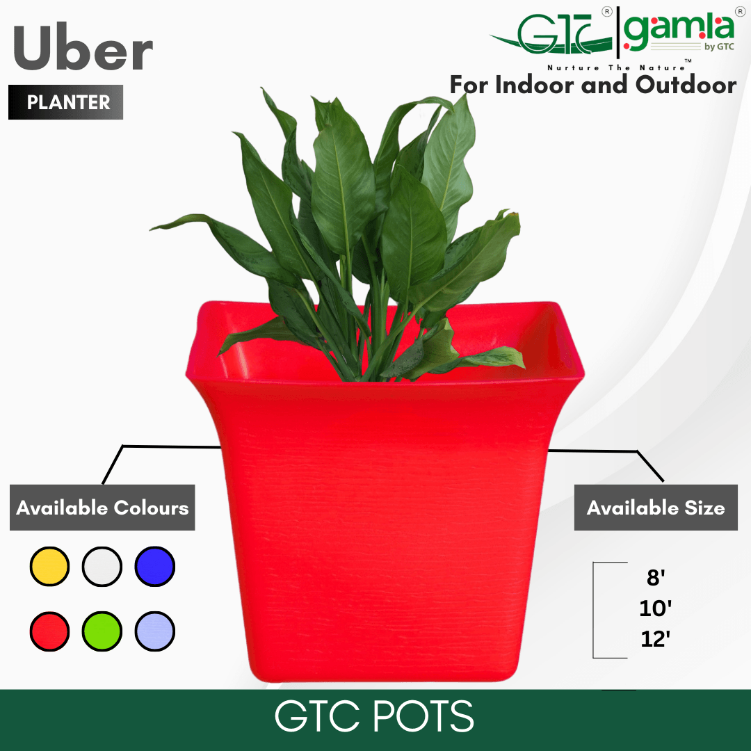 UBER PLANTER (SET OF 3) Suitable for Home, Gardens, Indoor, Outdoor - GTC POTS