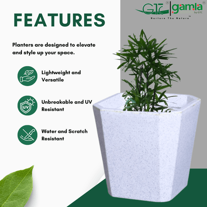 Octa Planter Roto Moulding Suitable for Home, Gardens, Hotels and Resorts - GTC POTS