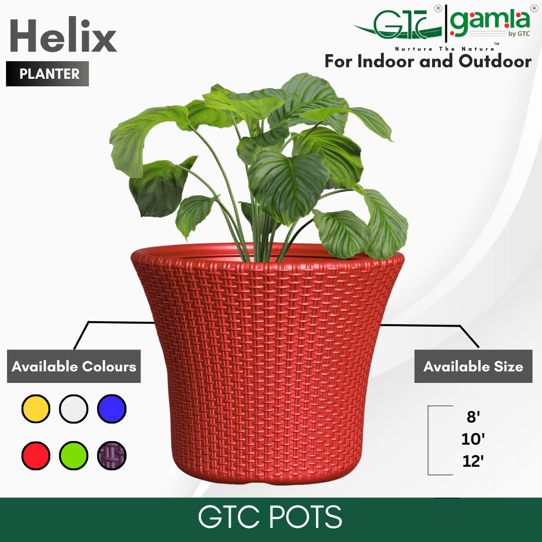 Helix Planter Suitable for Home, Gardens, Hotels and Resorts - GTC POTS