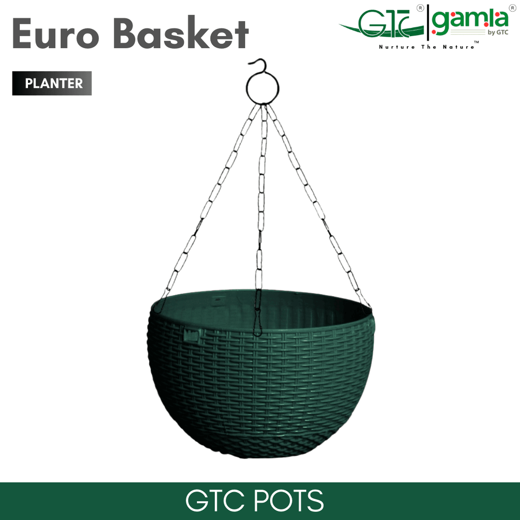 Euro Basket (Set Of 5) Suitable for Home, Gardens, Hotels and Resorts - GTC POTS