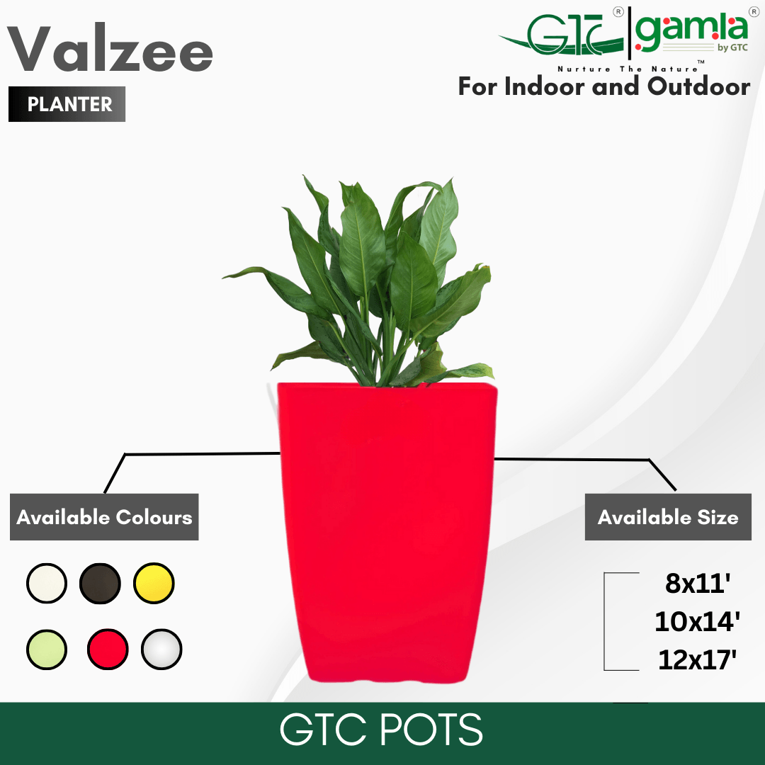 Valzee Planter Suitable for Home, Gardens, Hotels and Resorts - GTC POTS