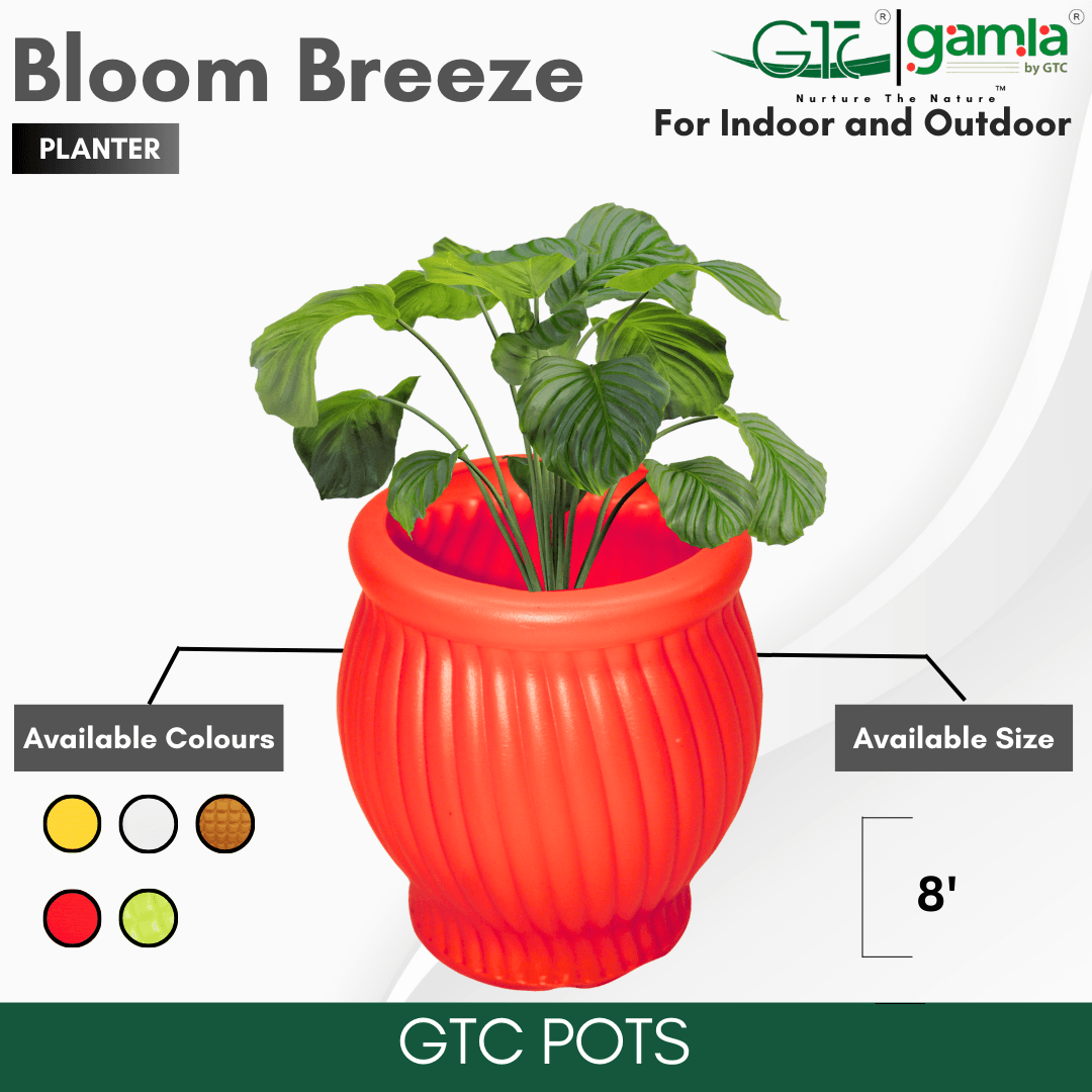 Bloom Breeze Planter Suitable for Home, Gardens, Hotels and Resorts - GTC POTS