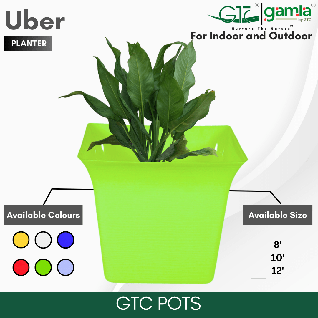 UBER PLANTER (SET OF 3) Suitable for Home, Gardens, Indoor, Outdoor - GTC POTS