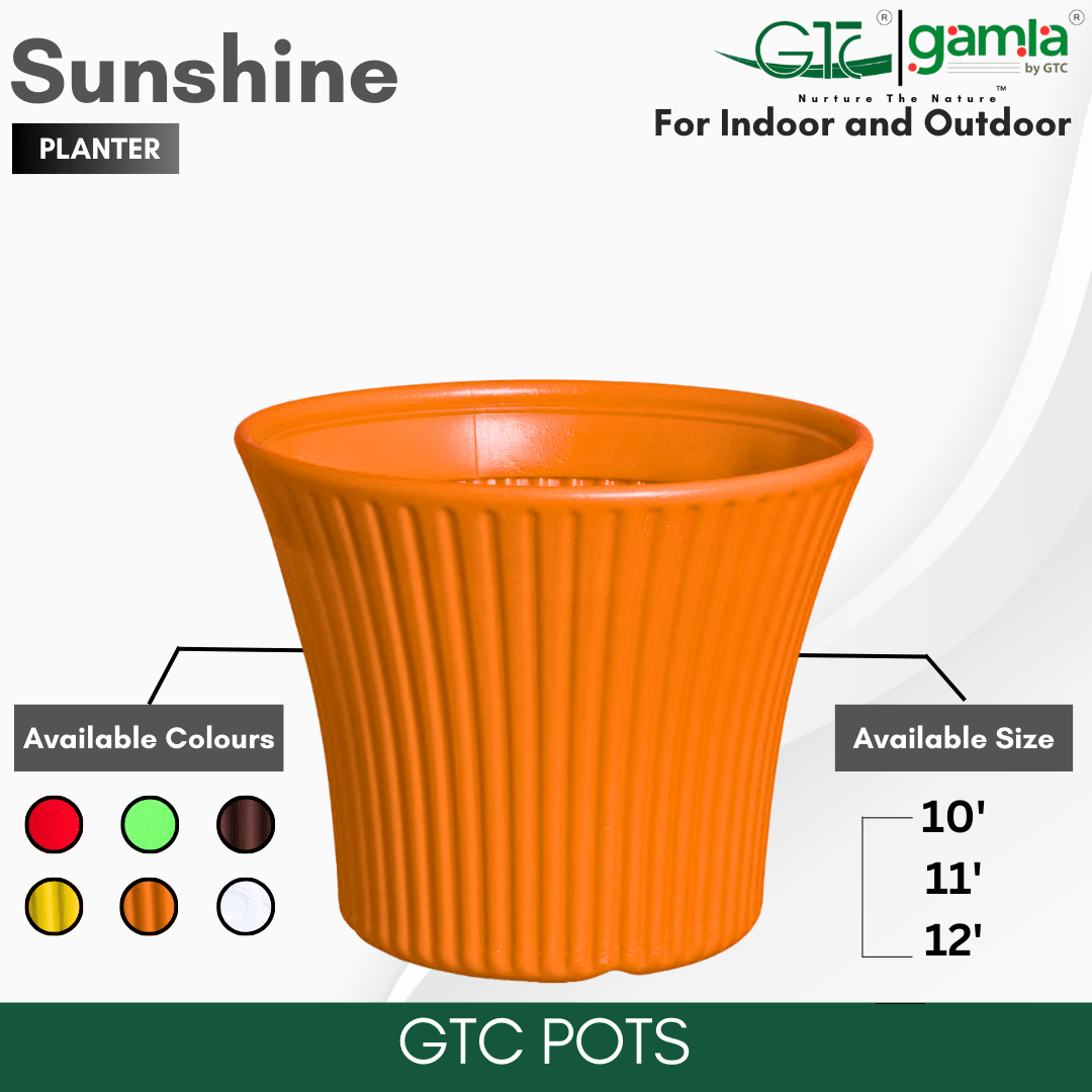 Sunshine Planter Suitable for Home, Gardens, Hotels and Resorts - GTC POTS