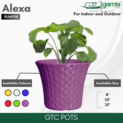 Alexa Planter Suitable for Home, Gardens, Hotels and Resorts - GTC POTS