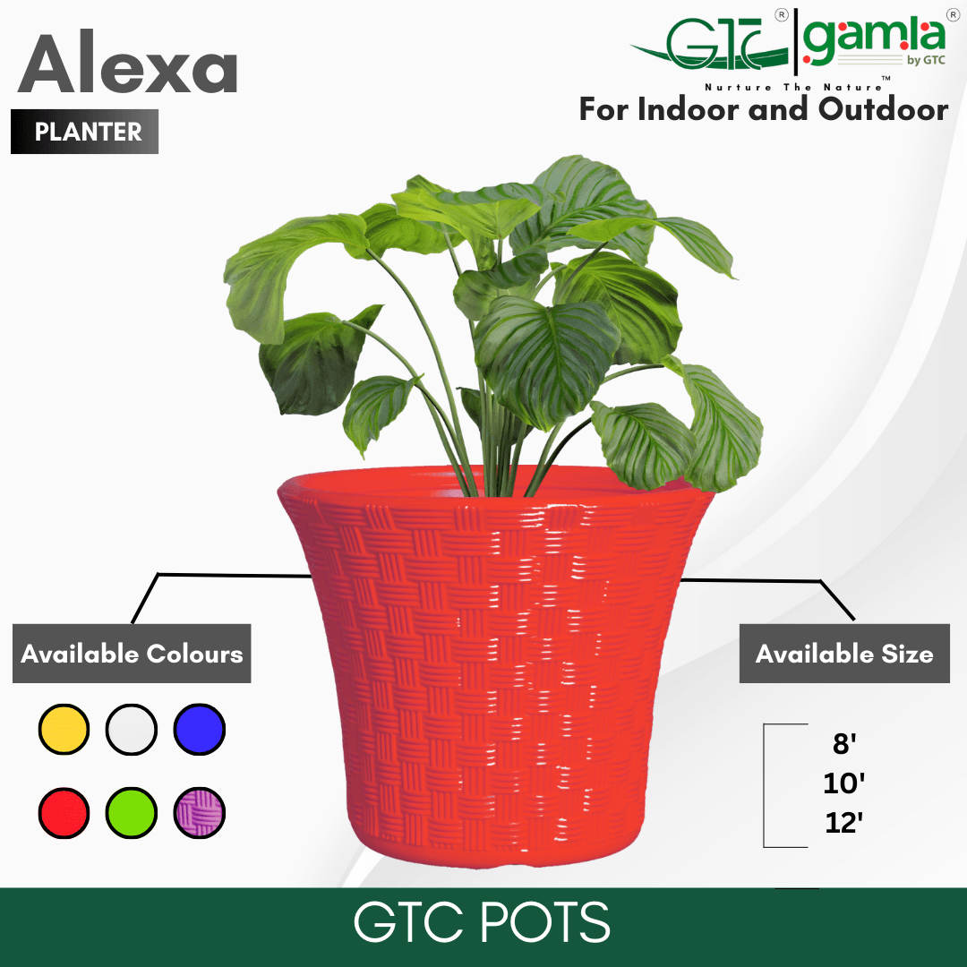 Alexa Planter Suitable for Home, Gardens, Hotels and Resorts - GTC POTS