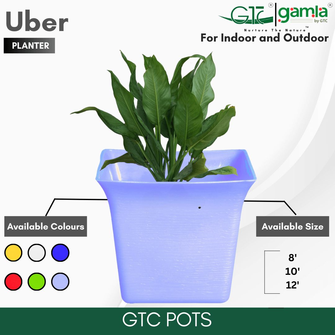 UBER PLANTER (SET OF 3) Suitable for Home, Gardens, Indoor, Outdoor - GTC POTS