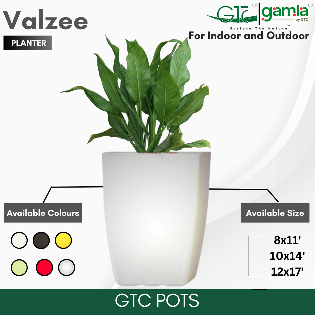 Valzee Planter Suitable for Home, Gardens, Hotels and Resorts - GTC POTS