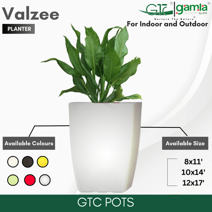 Valzee Planter Suitable for Home, Gardens, Hotels and Resorts - GTC POTS