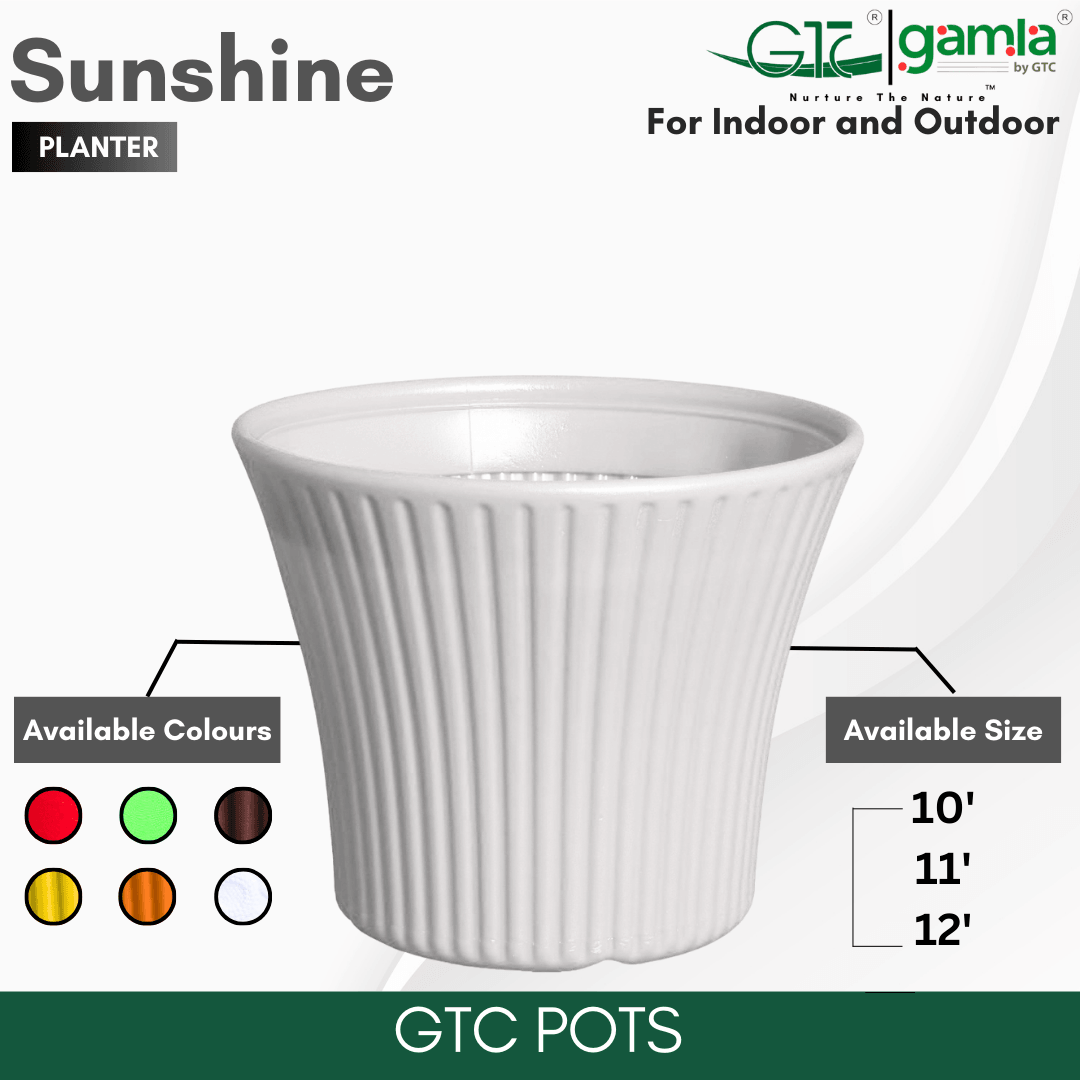 Sunshine Planter Suitable for Home, Gardens, Hotels and Resorts - GTC POTS