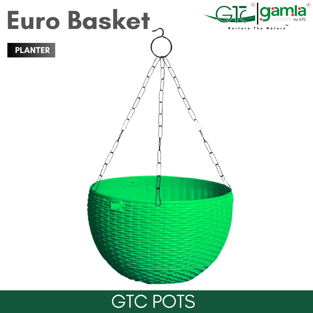 Euro Basket (Set Of 5) Suitable for Home, Gardens, Hotels and Resorts - GTC POTS
