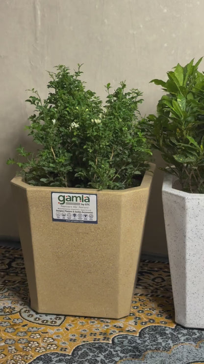 Octa Planter Roto Moulding Suitable for Home, Gardens, Hotels and Resorts