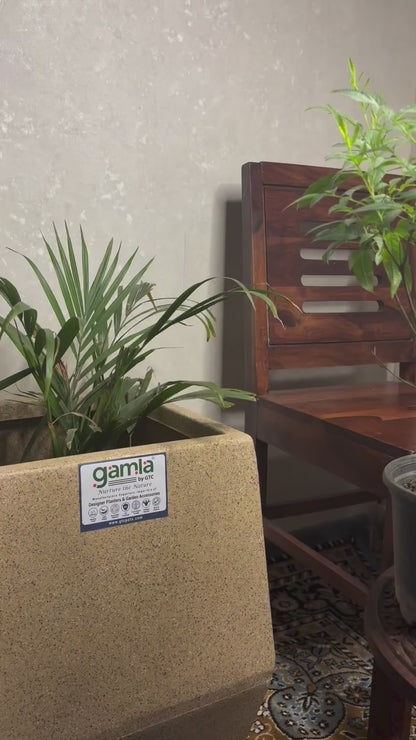 Rhombus Planter Roto Moulding Planter Suitable for Home, Gardens, Hotels and Resorts