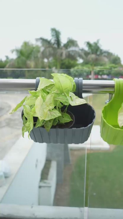 Double Hook Hanging Planters  – Space-Saving Pots for Home & Gardens